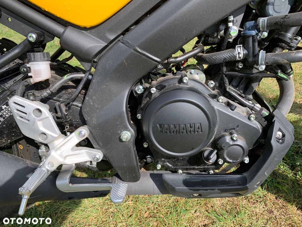 Yamaha XSR - 10