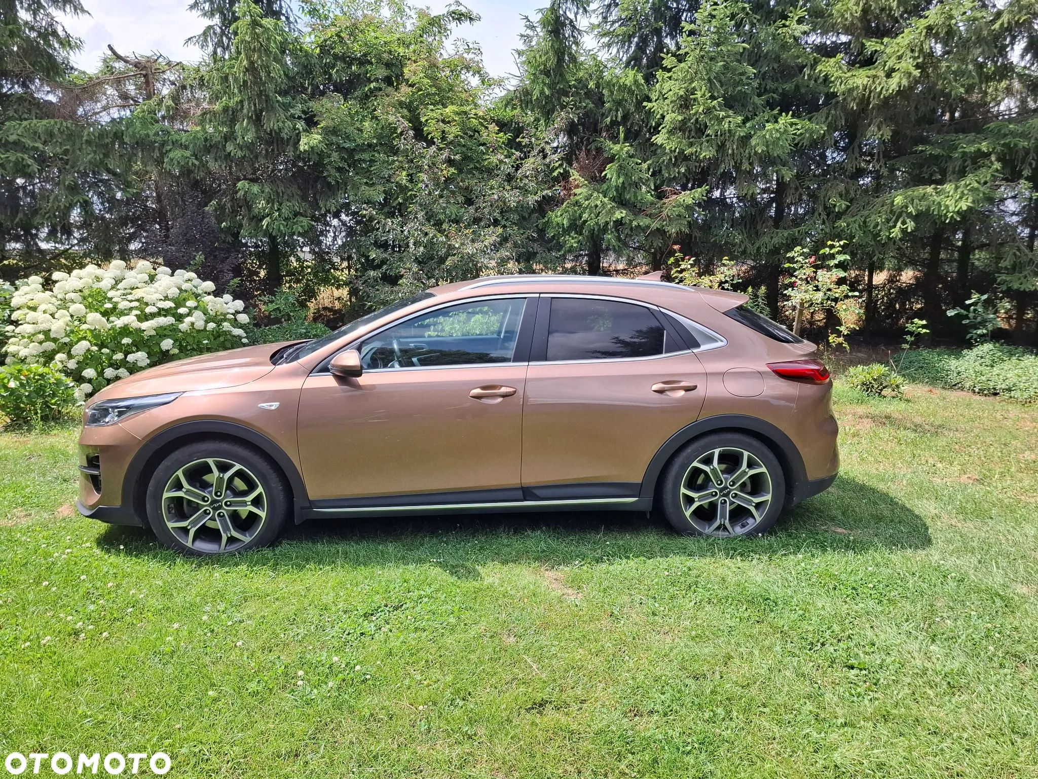 Kia XCeed 1.5 T-GDI M - 1