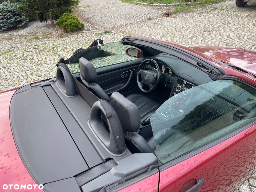 Mercedes-Benz SLK - 9
