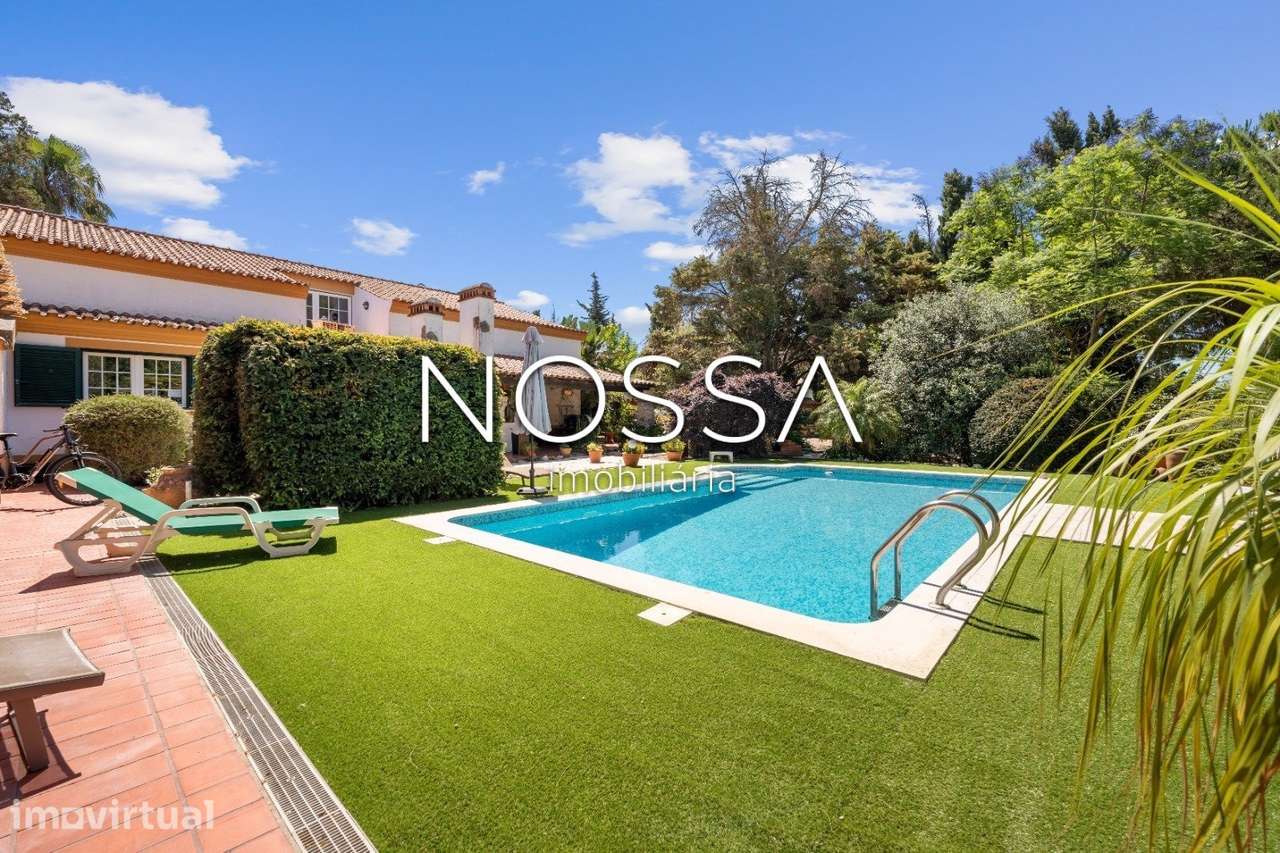 Qta | Palmela | 15.000m2 | Moradia T3 c/ Piscina - Grande imagem: 2/26