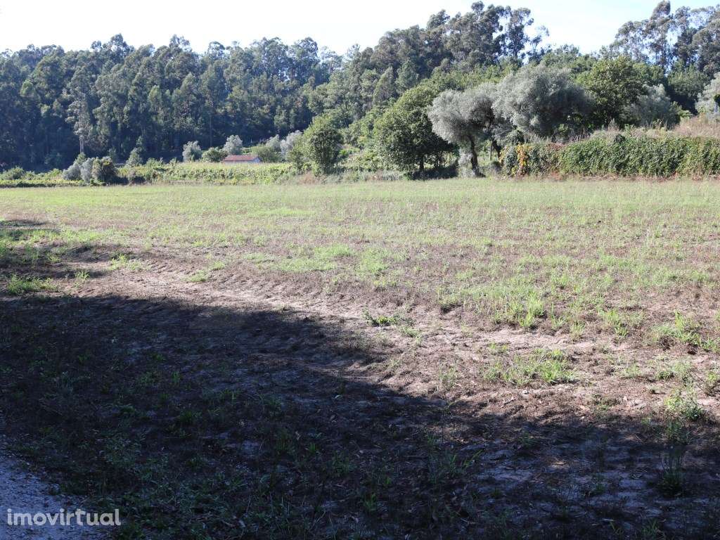 Terreno agrícola em Refóios, Ponte de Lima - Grande imagem: 2/9
