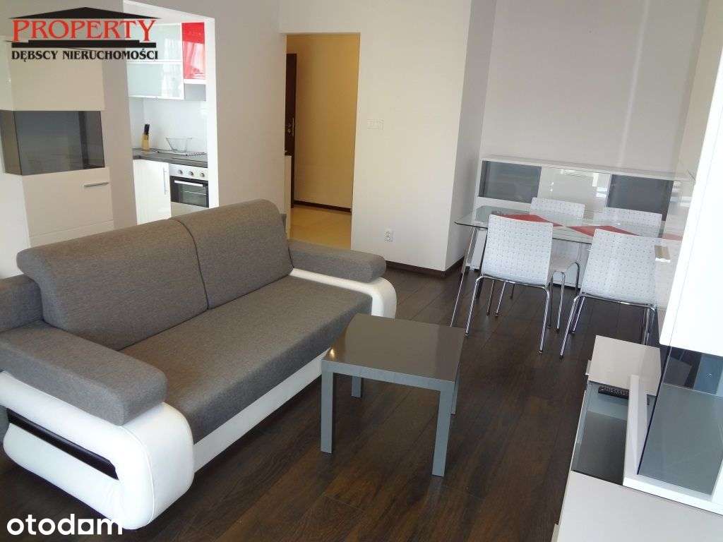 Apartament - Salon Z Aneksem Sypialnym, Kuchnia - Pełny obrazek: 2/17