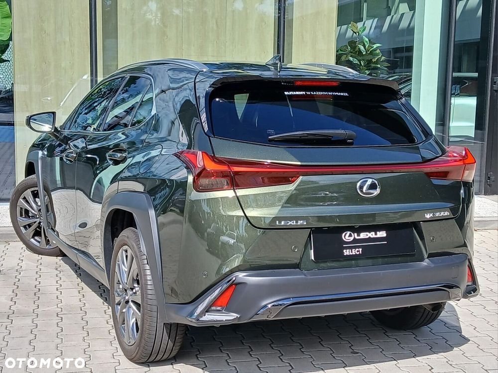 Lexus UX 300h F Sport Design - 12