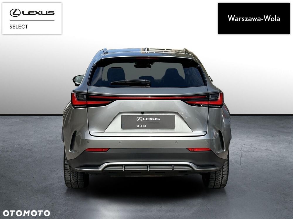 Lexus NX - 6
