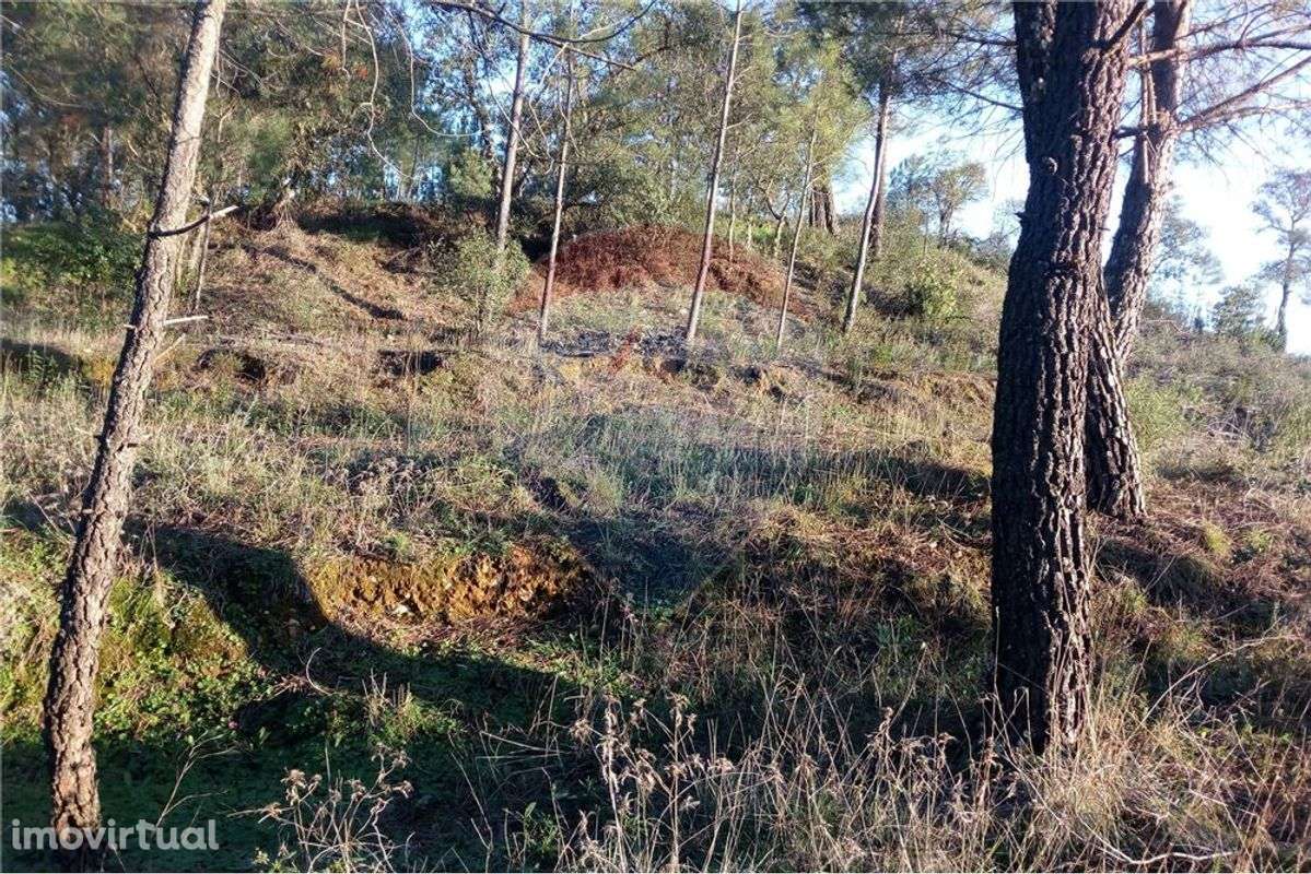 TERRENO PARA CONSTRUÇÃO - Grande imagem: 2/11