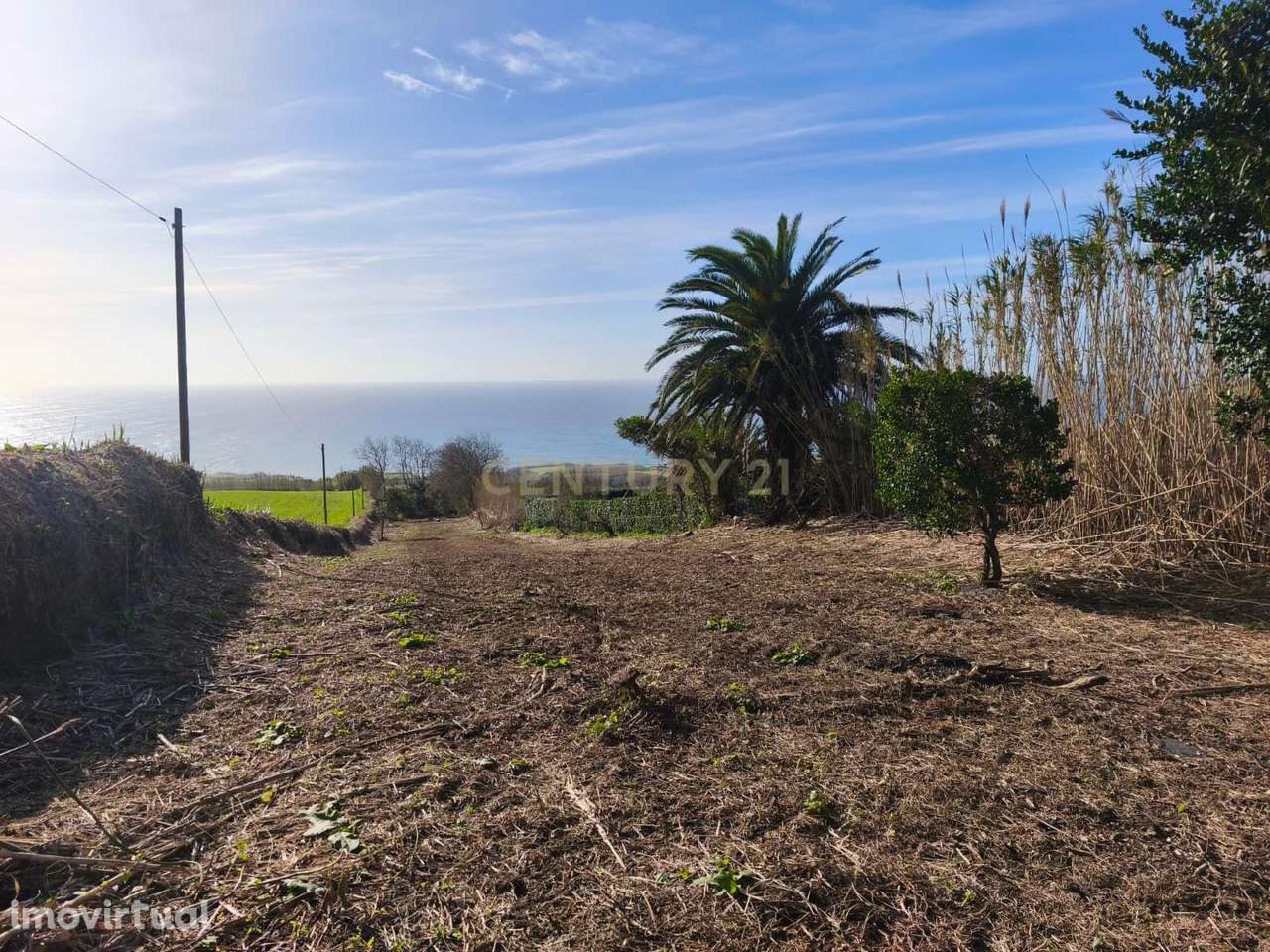 Terreno com Vista Mar Permanente nos Ginetes – Oportunidade Única - Grande imagem: 4/12
