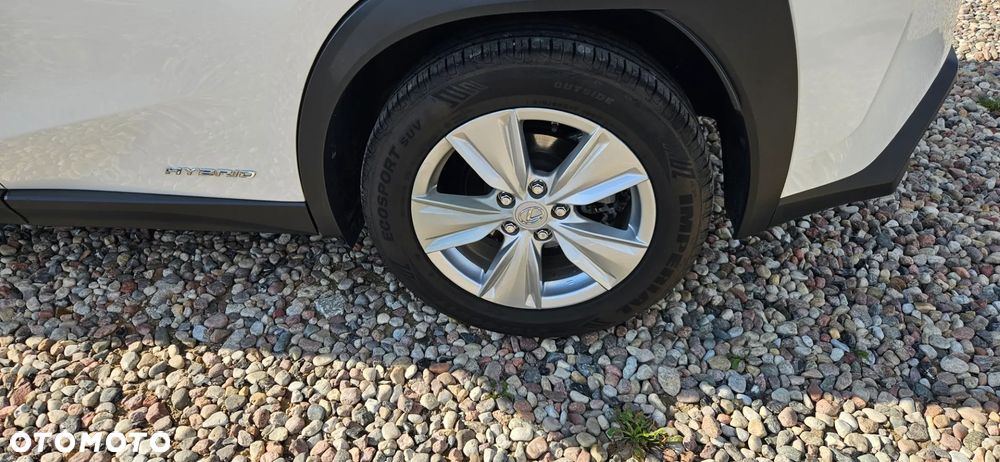 Lexus UX - 16