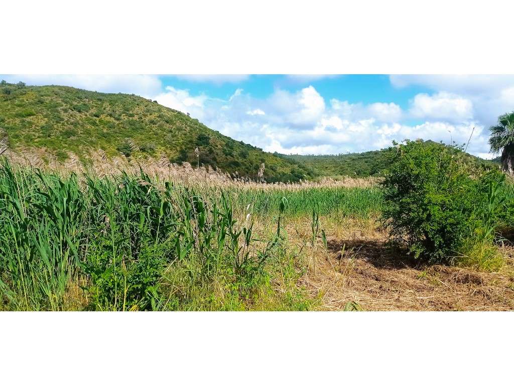 Terreno Rústico , Faro, Alcoutim - Grande imagem: 4/31