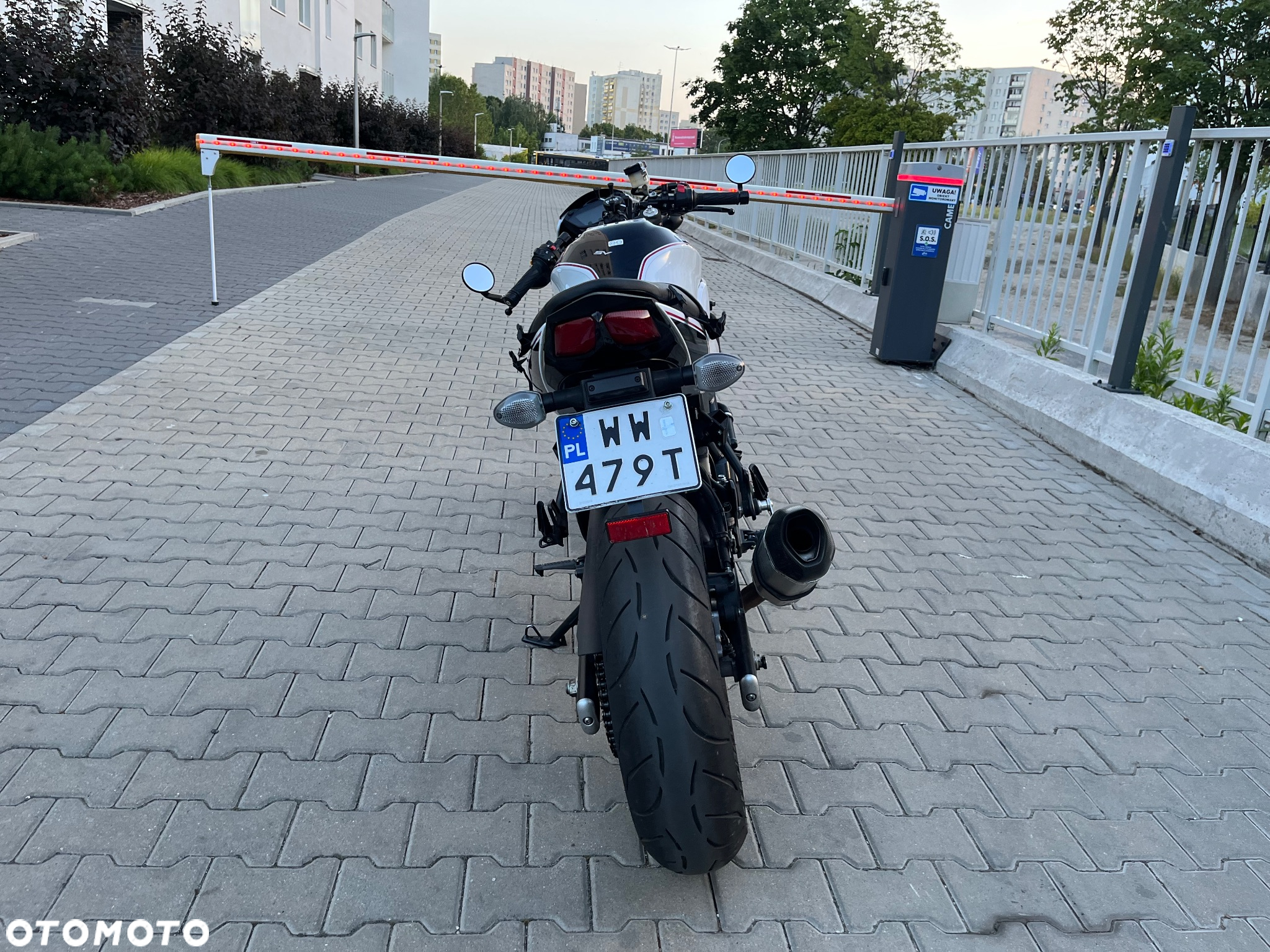 Suzuki SV - 6