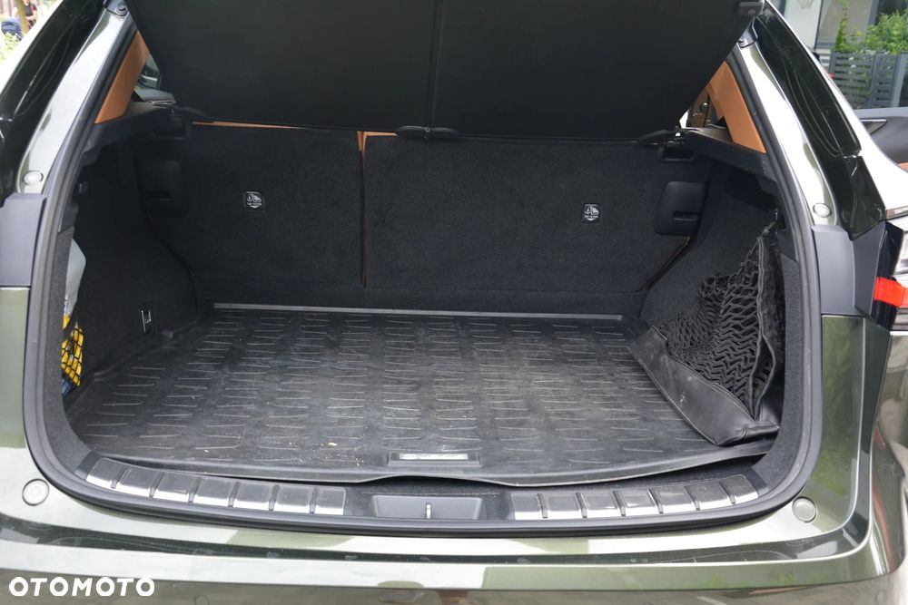 Lexus NX - 24