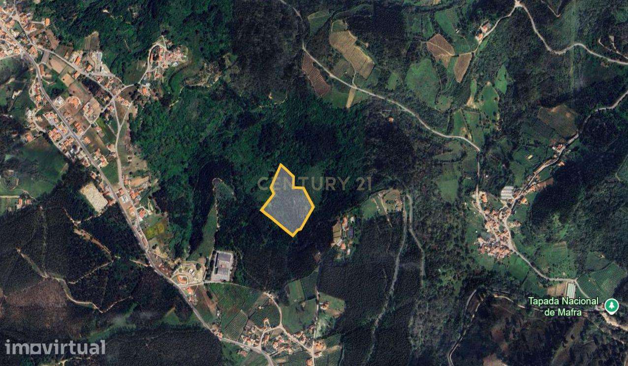 Terreno Rústico -  Mafra (Poço da Serra) - Grande imagem: 2/4