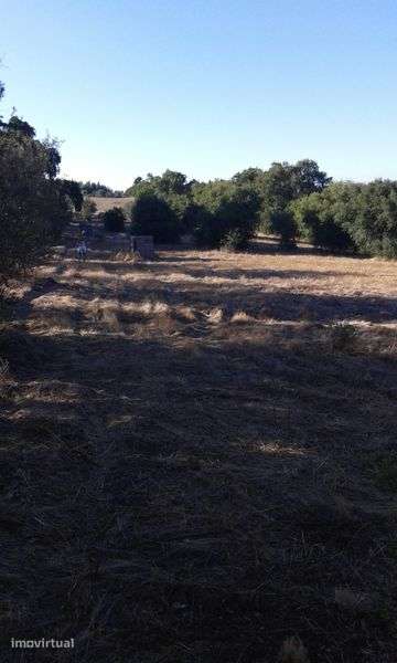 Terreno 7,800 m2  em Azambuja 65.000 € - Grande imagem: 3/7
