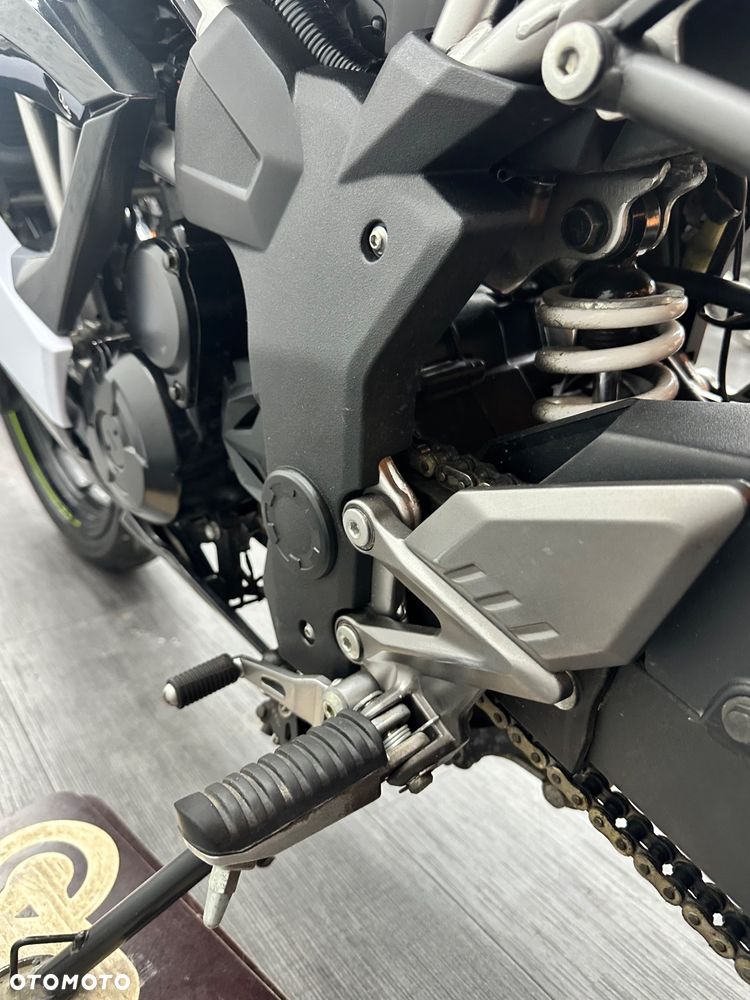 Kawasaki Ninja - 17