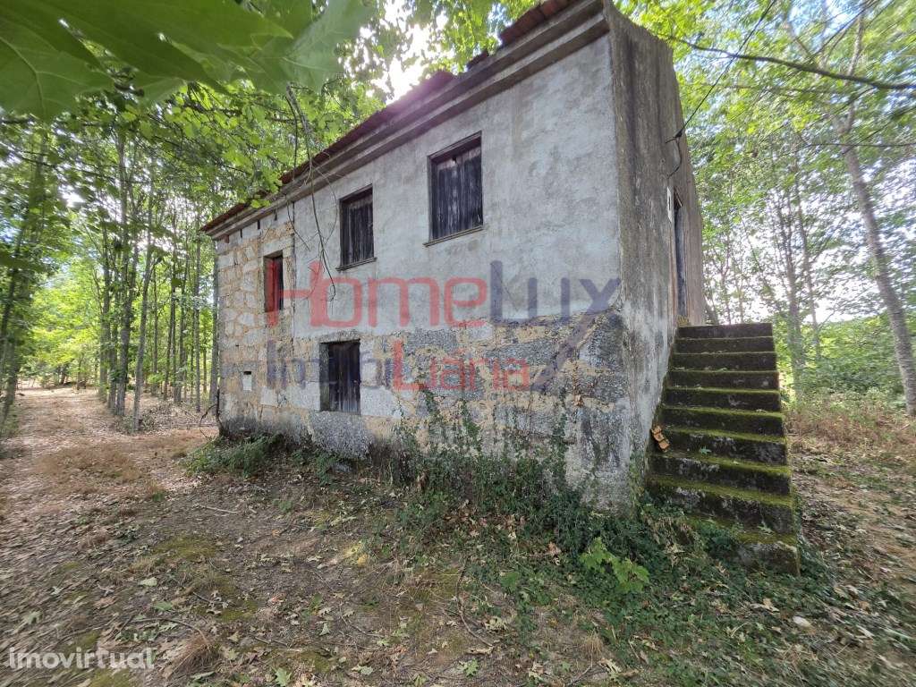 Quinta com casa para venda em Germil, Penalva do Castelo - Grande imagem: 4/60