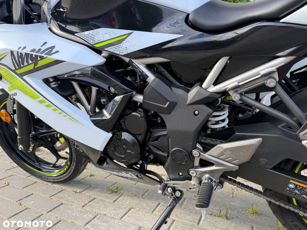 Kawasaki Ninja - 32