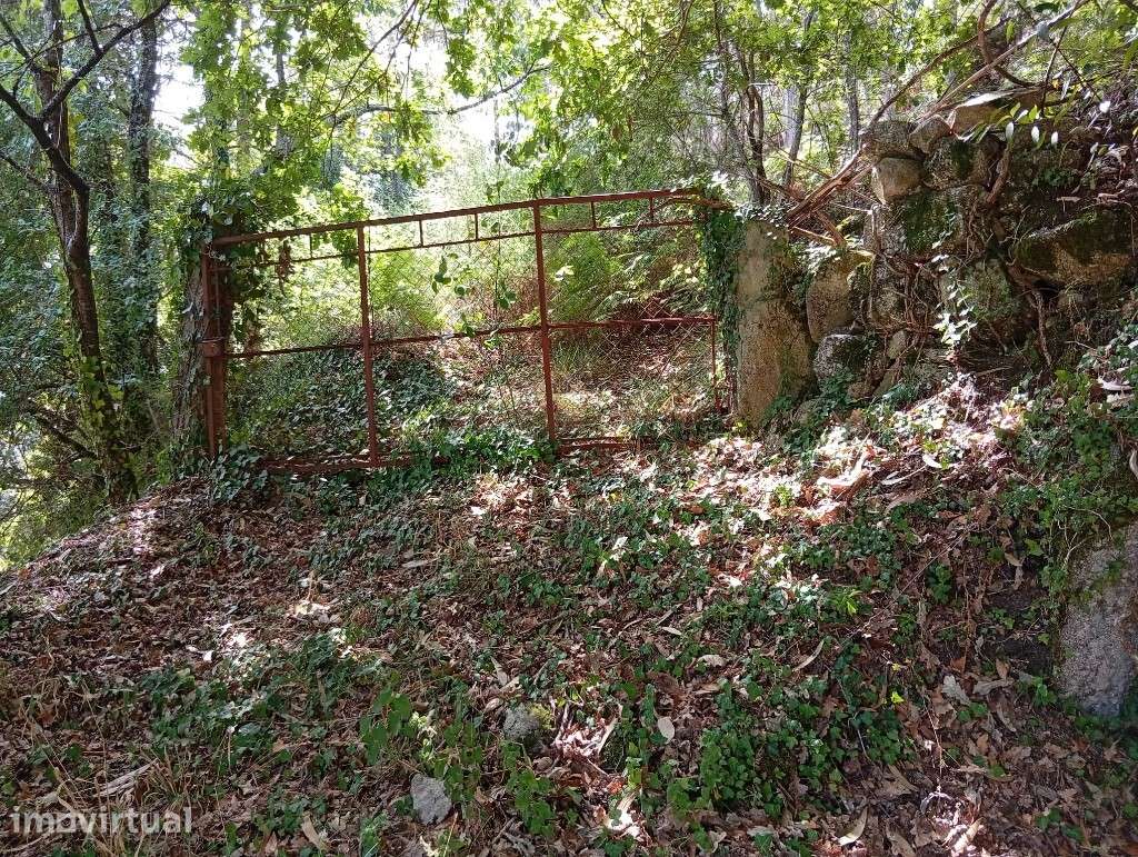 Terreno Agrícola  e Florestal - Seramil - Grande imagem: 4/16