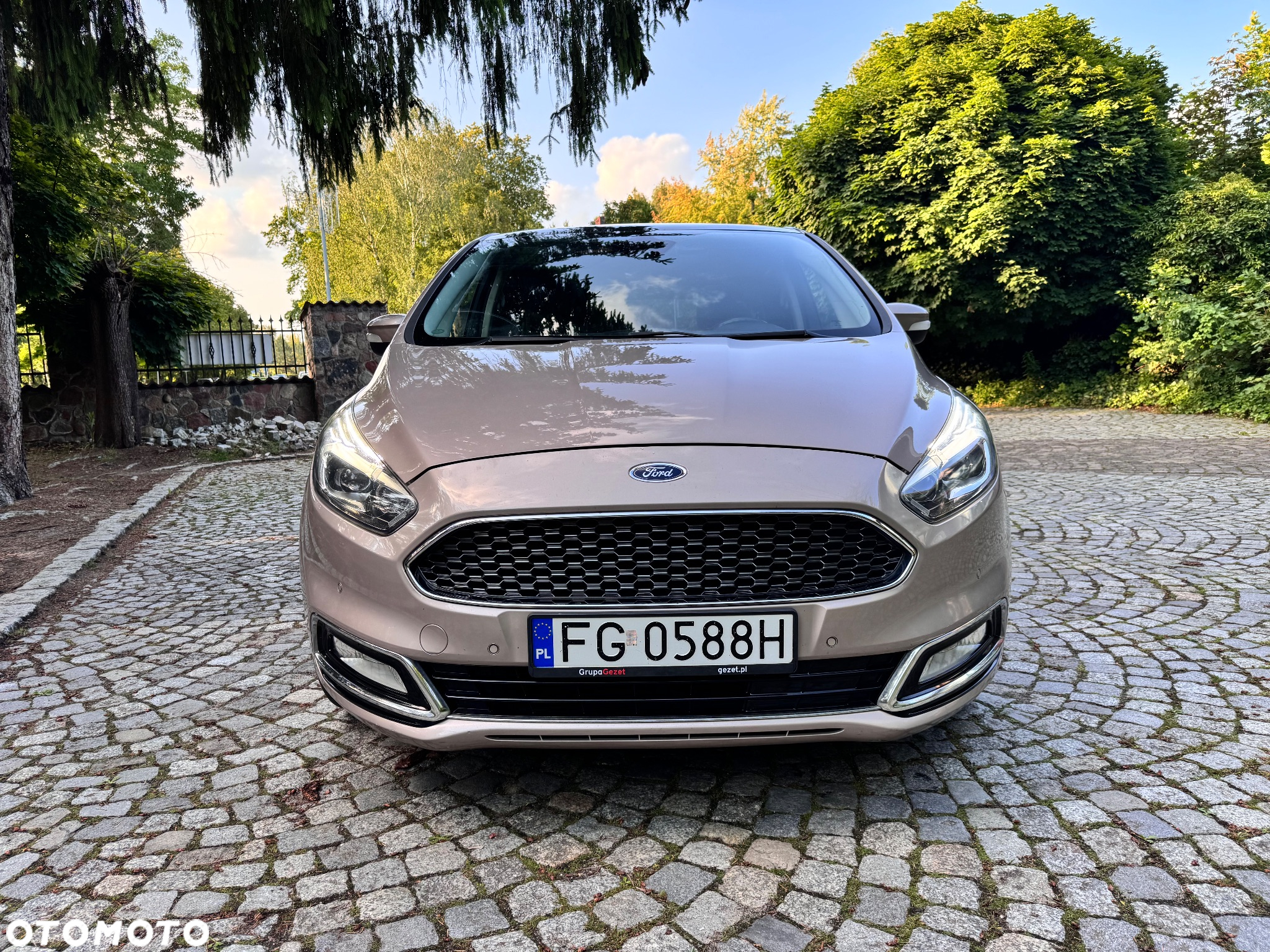 Ford S-Max 2.0 TDCi Bi-Turbo Vignale PowerShift - 6