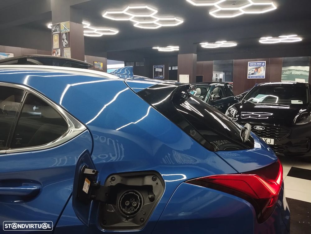 Lexus UX 300e Executive+ - 14