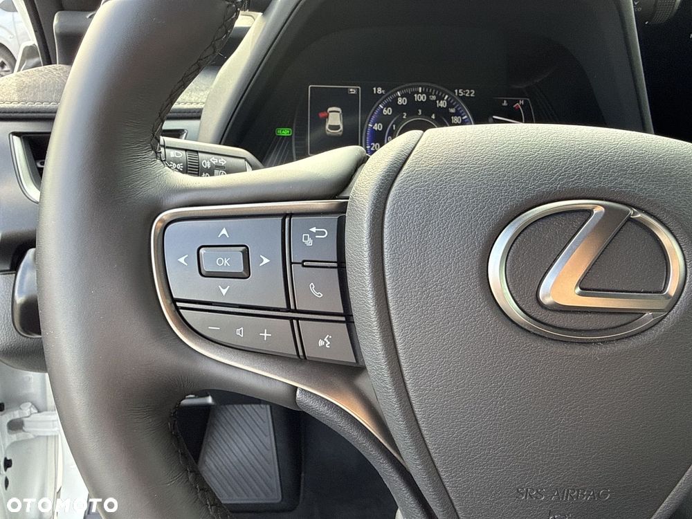 Lexus UX 250h GPF F Sport Design+ 2WD - 21
