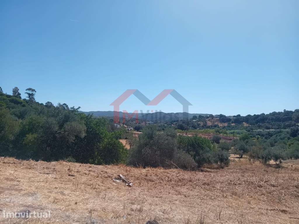 Moradia para reconstruir a 5 minutos do centro de Salir - Loulé - Grande imagem: 5/5