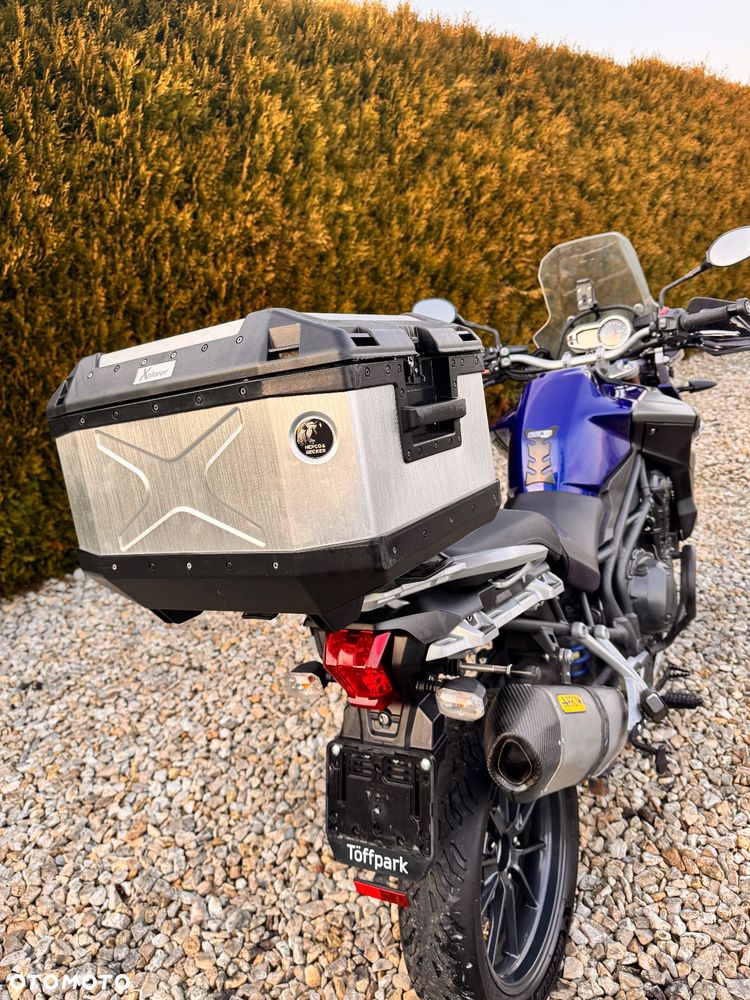 Triumph Tiger - 21