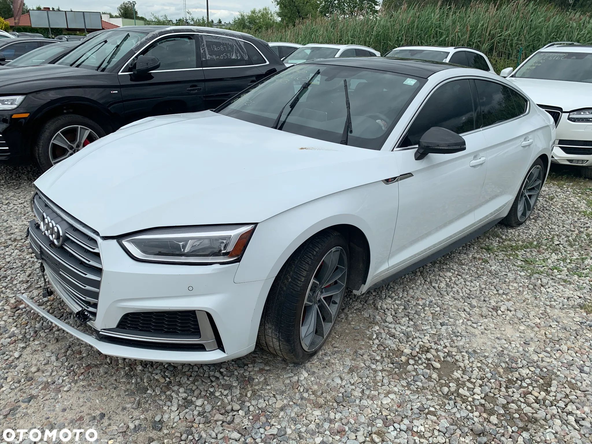 Audi S5 - 1