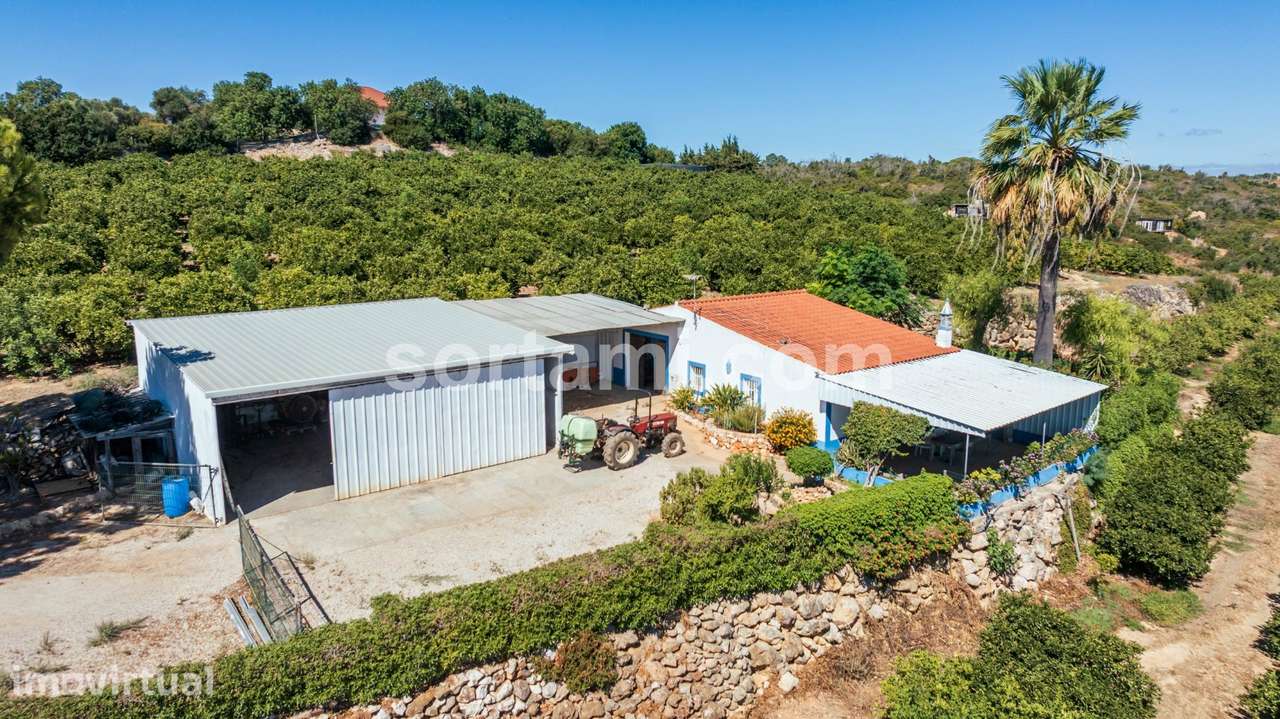 Moradia Isolada T1 Venda em Alcantarilha e Pêra,Silves - Grande imagem: 3/24