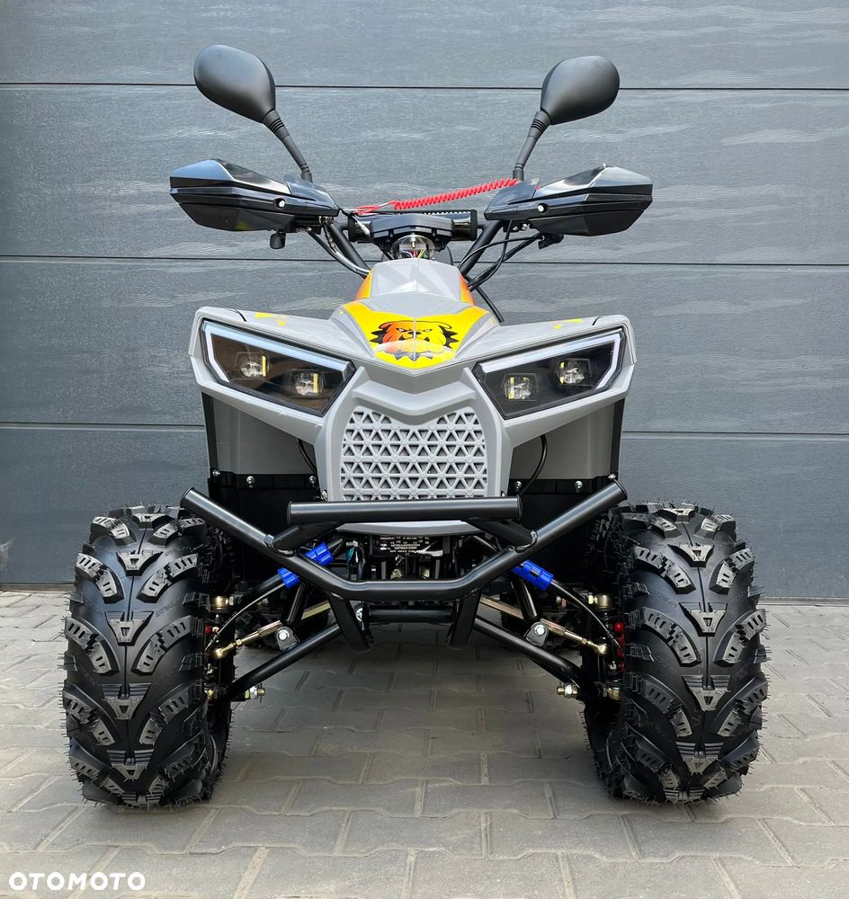 Berreta Bulldog - 8
