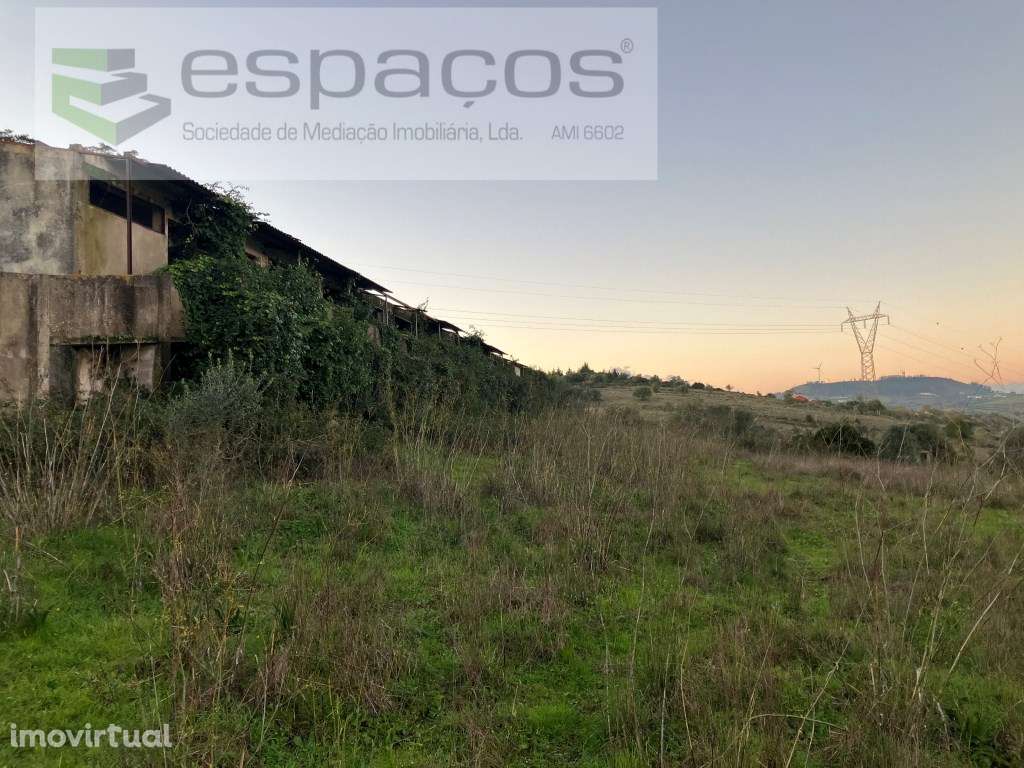 Terreno Industrial - Grande imagem: 4/15