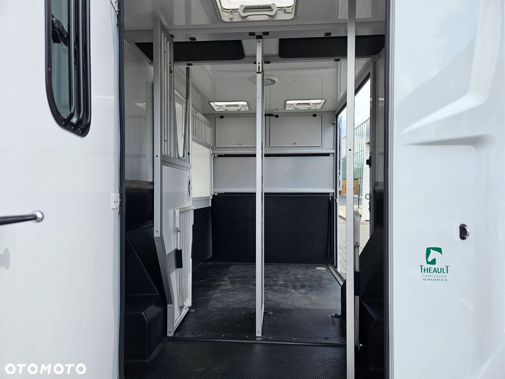 Renault Master koniowóz 170 KM automat - 16