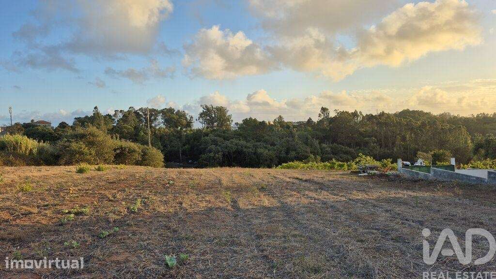 Terreno Agrícola em Bárrio - Grande imagem: 3/10