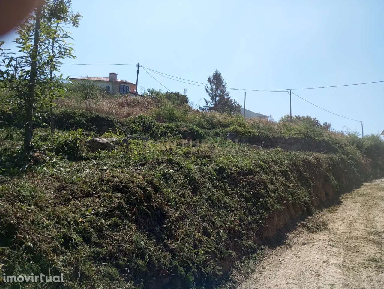 Terreno à venda em Santa Comba Dão, Viseu - 600m² - Grande imagem: 2/9