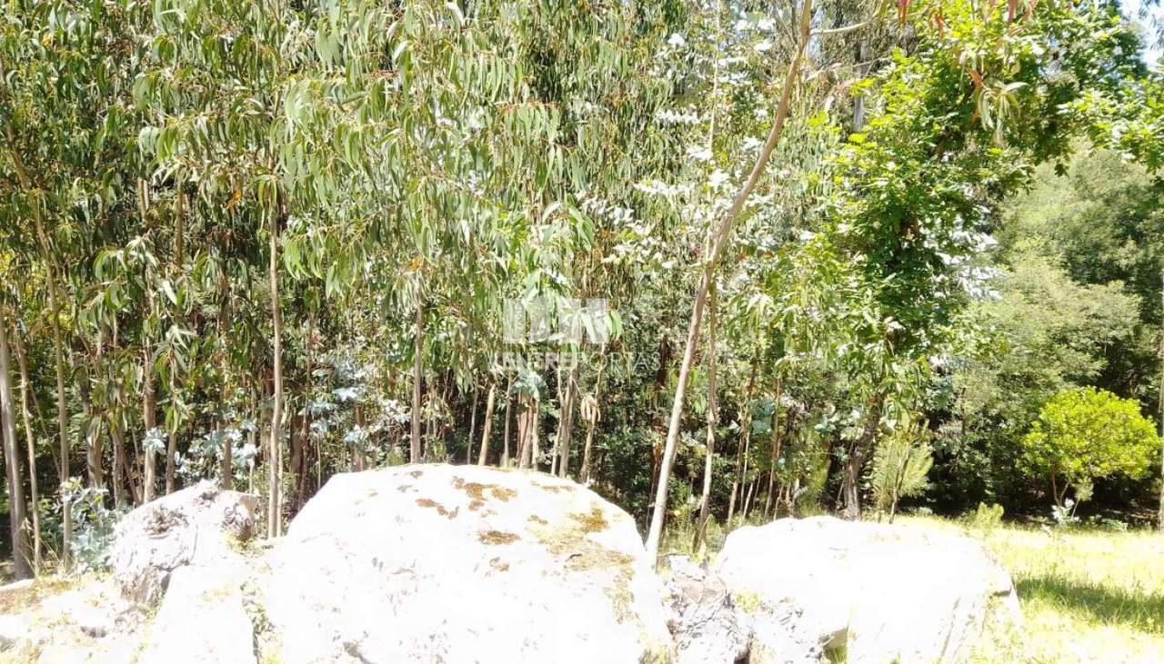 Venda Terreno, Praia Fluvial, Espadanedo, Cinfães - Grande imagem: 3/35