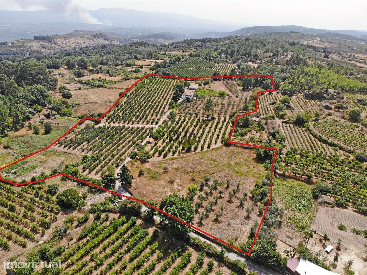 Moradia T7 em Terreno com cerca de 4ha em Maceira, Fornos de Algodres - Grande imagem: 2/28