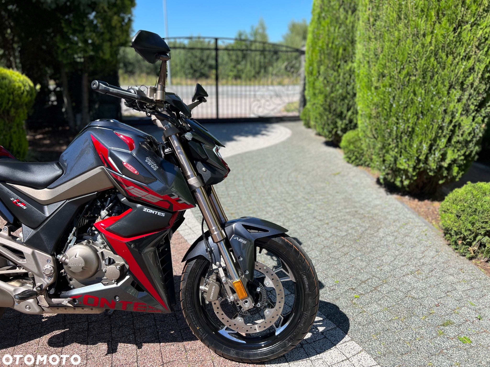 Zontes Inny - 6