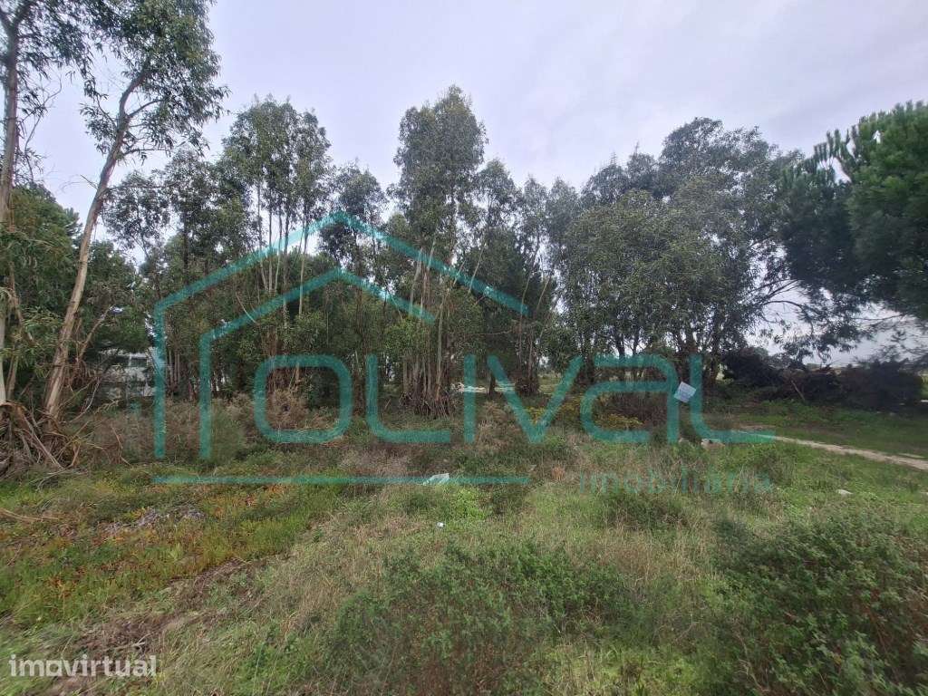 Lote Industrial em Samora Correia - Grande imagem: 2/11