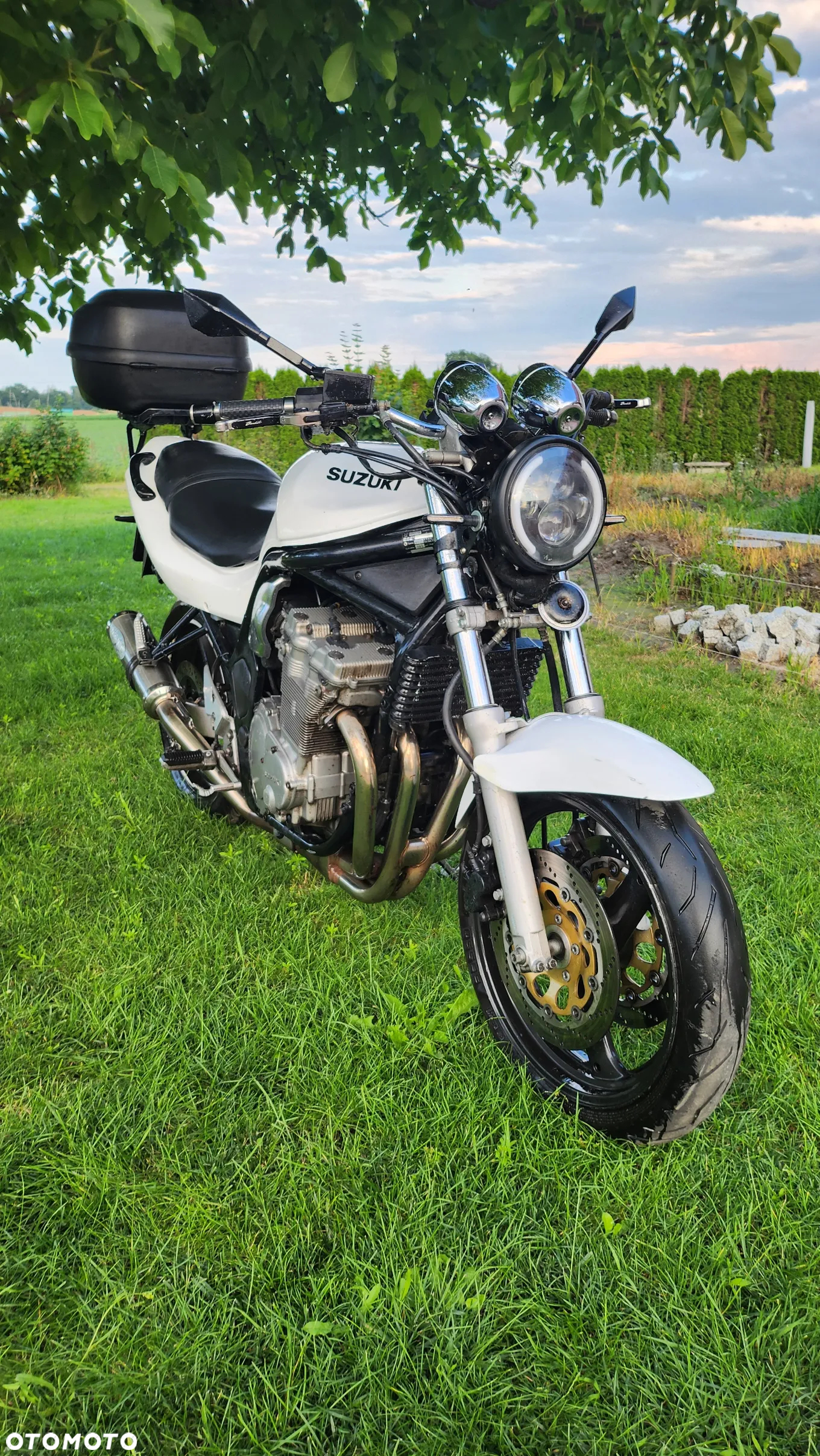 Suzuki Bandit - 8