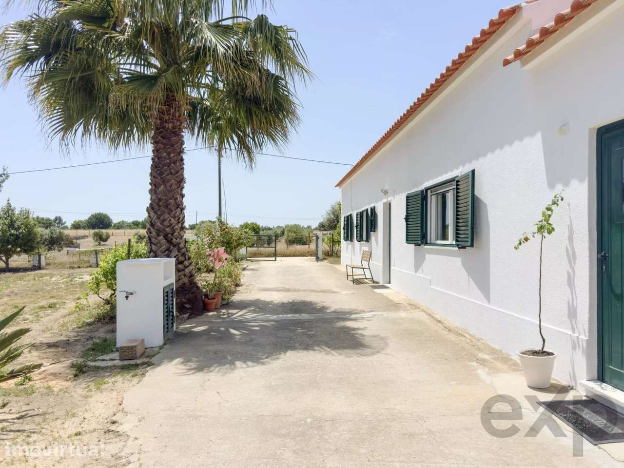 Quinta de 3 quartos com vinhedo, olival e 11.025m² de terreno perto de - Grande imagem: 2/40