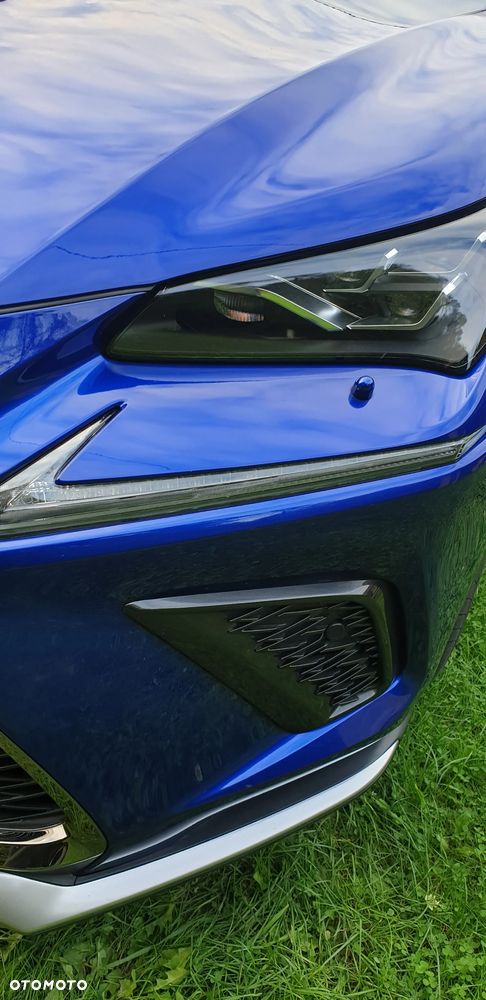 Lexus NX 300h F Sport AWD - 14