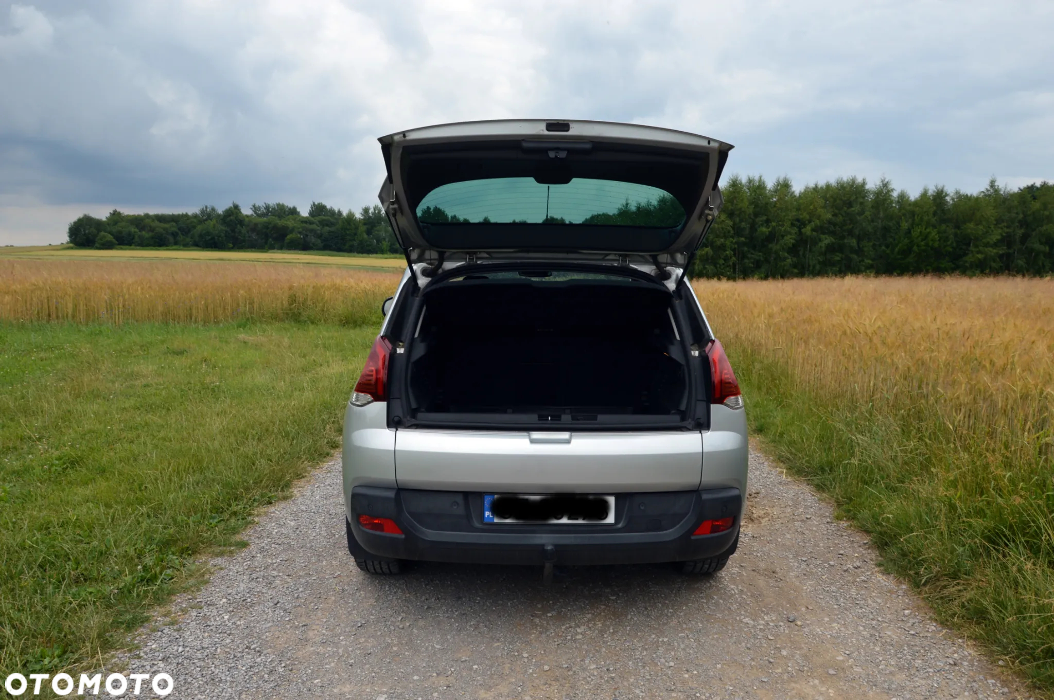 Peugeot 3008 - 3
