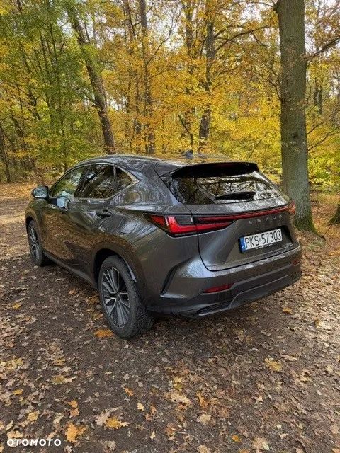 Lexus NX 350h Omotenashi AWD - 4