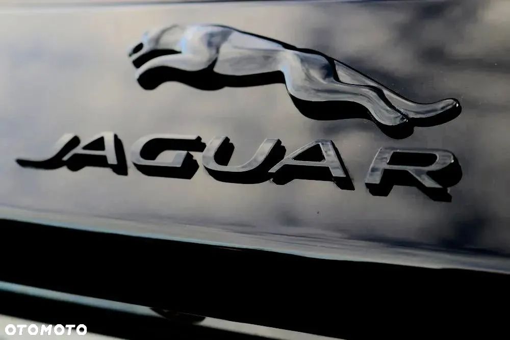 Jaguar E-Pace P300 AWD R-Dynamic SE - 13