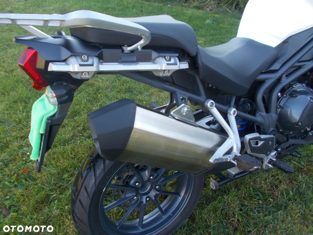 Triumph Tiger - 6