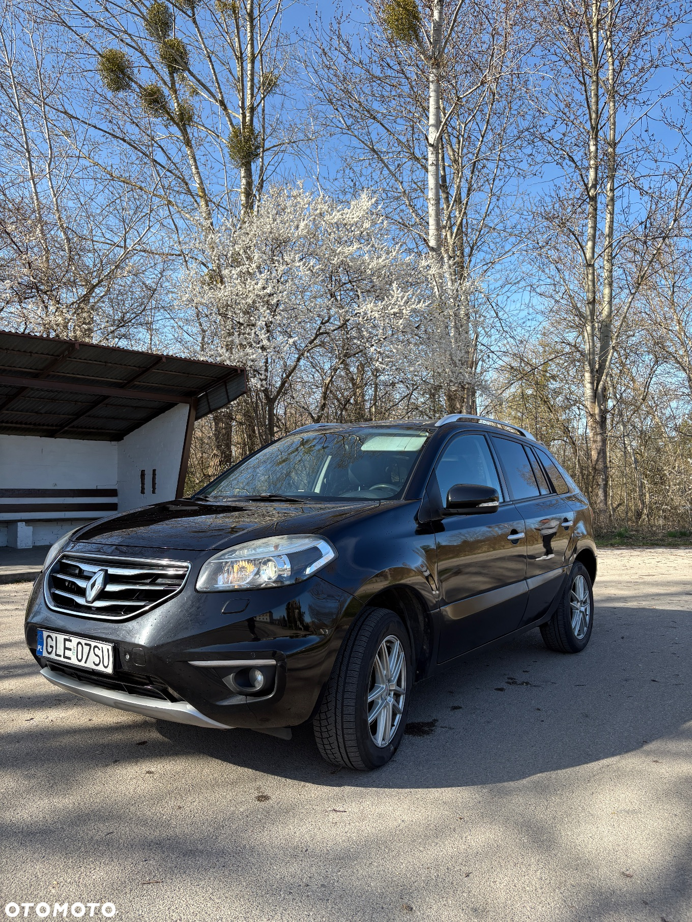 Renault Koleos 2.0 dCi 4x4 Privilege - 6