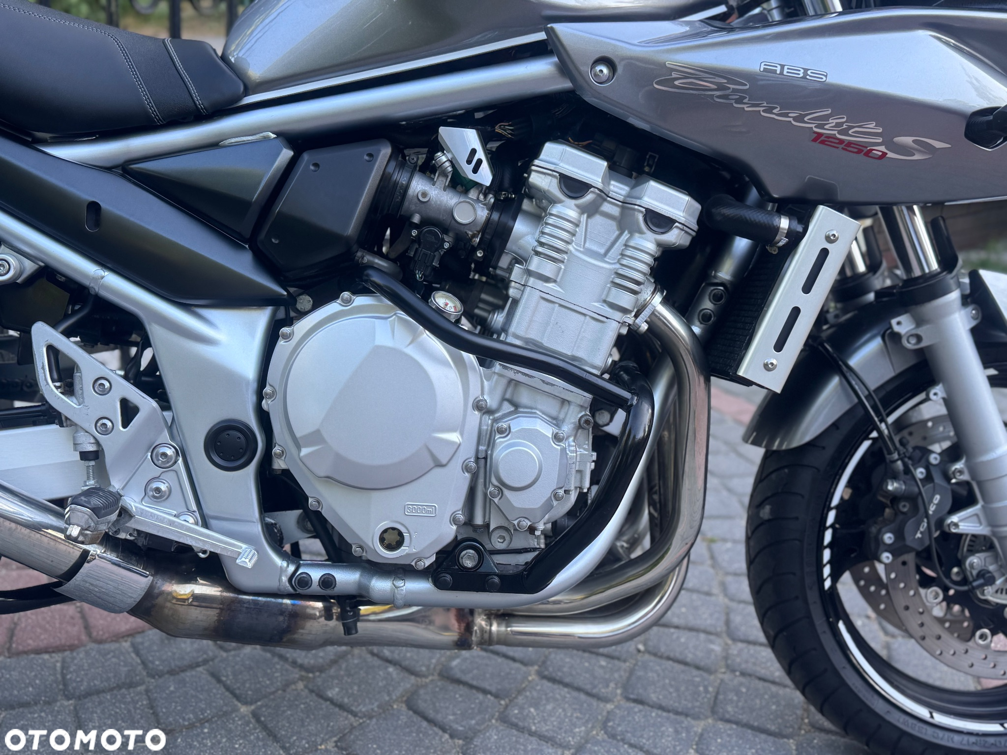 Suzuki Bandit - 13