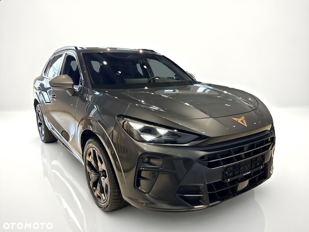 Cupra Terramar 2.0 TSI 4Drive DSG - 4