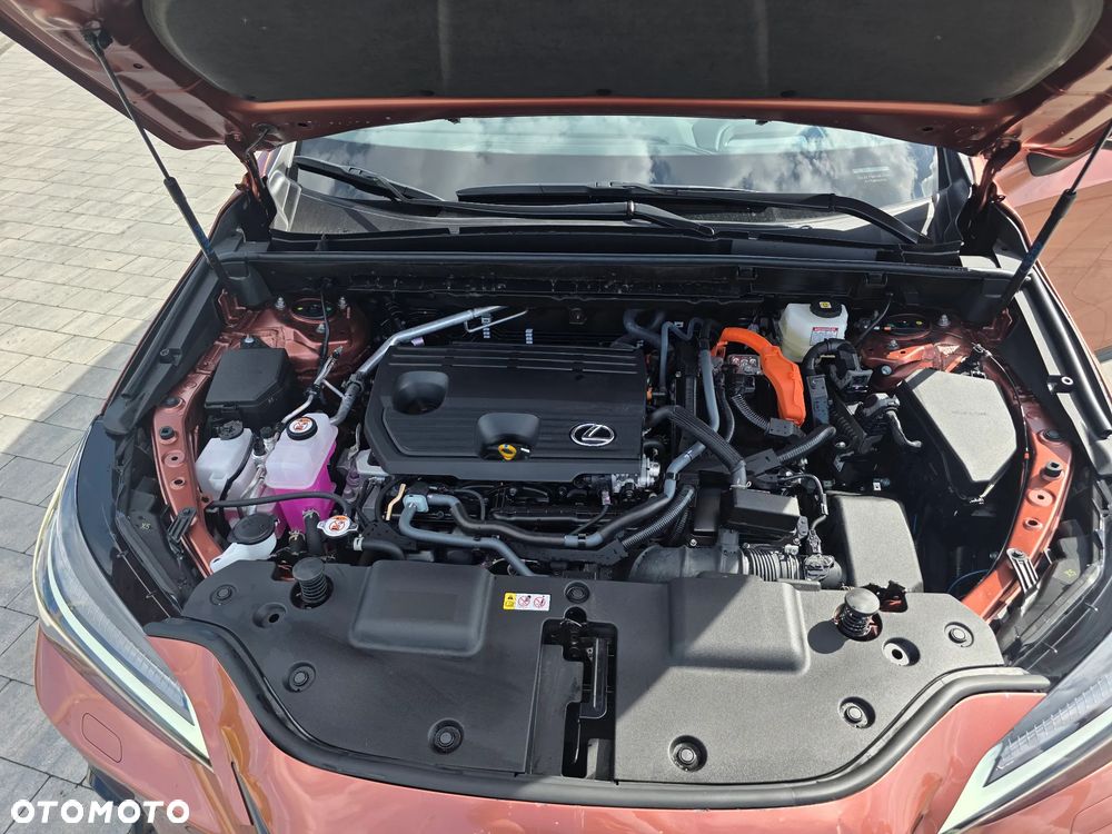 Lexus NX 350h Omotenashi AWD - 24