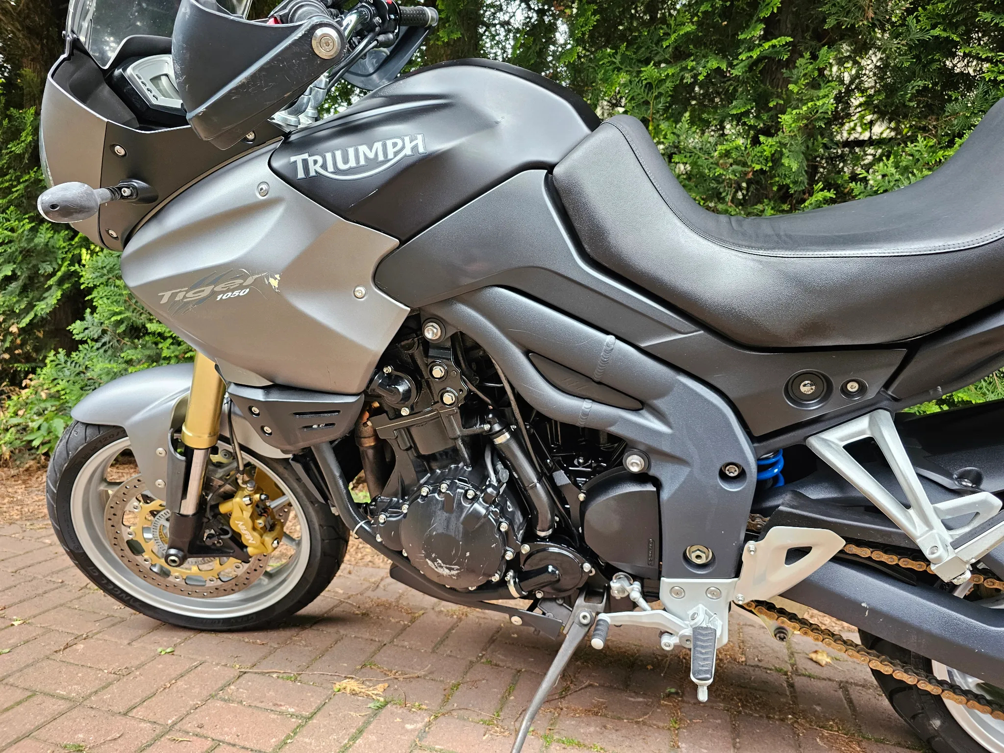 Triumph Tiger - 16