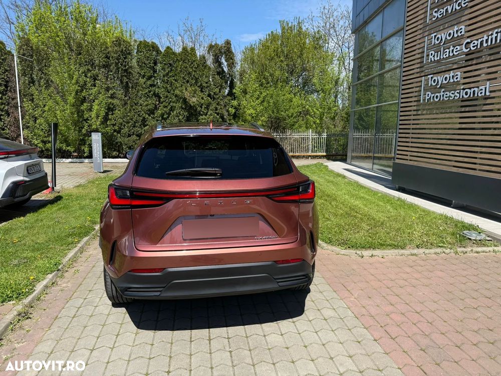 Lexus Seria NX - 6