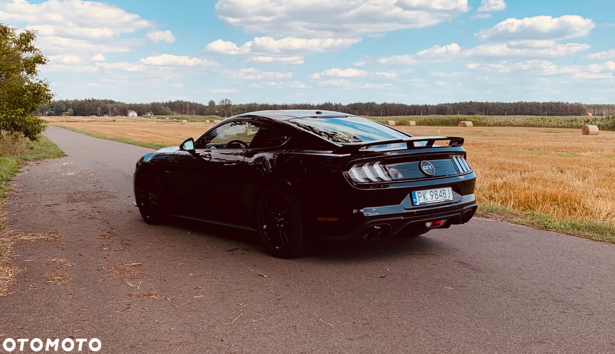 Ford Mustang 5.0 V8 GT - 4